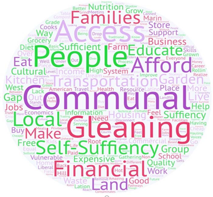 Word Cloud - West Marin Action Team Interviews